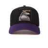 gorra goorin bros raven fan black