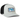 gorra fox flexfit barb wire