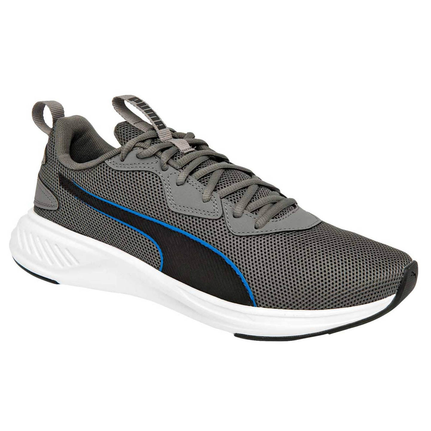 tenis puma incinerate