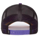 gorra goorin bros raven fan black